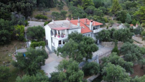 Ribarićevi dvori